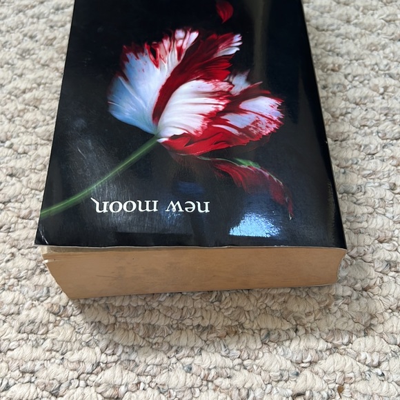 New Moon paperback, book 2 of 4 in Twilight Saga by Stephanie Meyer - Picture 6 of 16